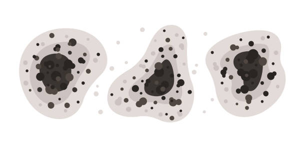 Best Air Quality Testing for Mold Spores  in Cherry Grove, OH