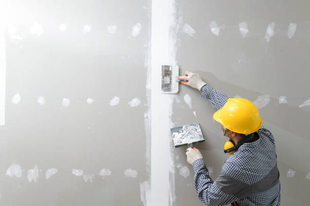 Best Crawl Space Mold Remediation  in Cherry Grove, OH